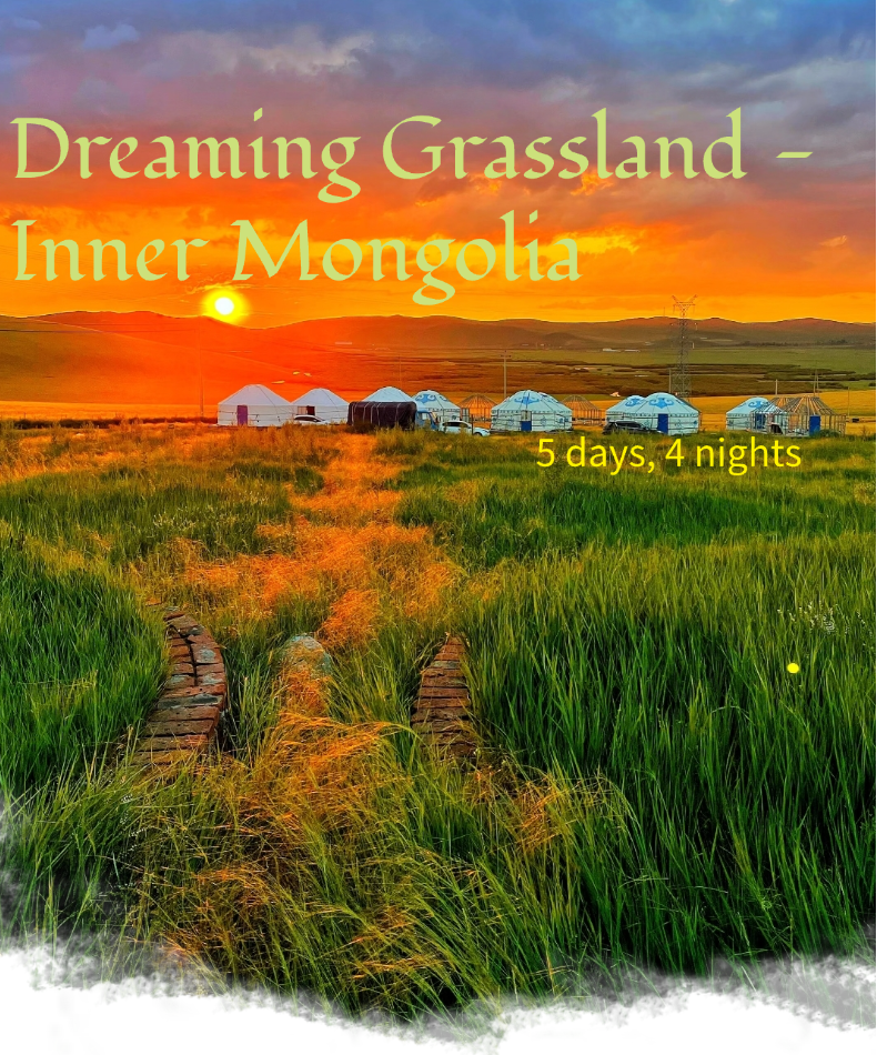 Dreaming Grassland - Inner Mongolia