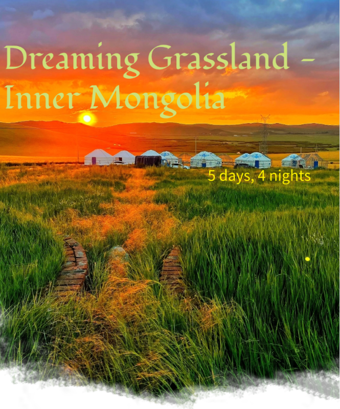 Dreaming Grassland - Inner Mongolia