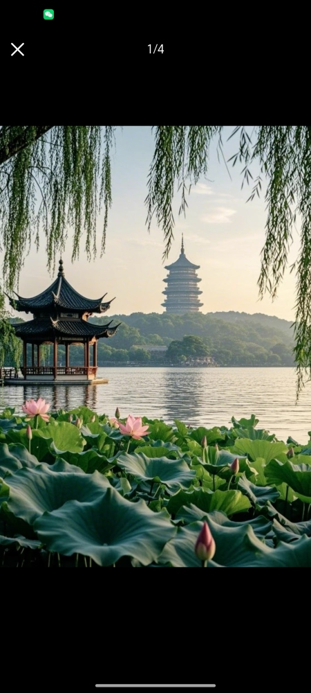 East China - Hangzhou West Lake | Wuzhen | Nanxun | Xitang 4-day 3-night special offer tour
