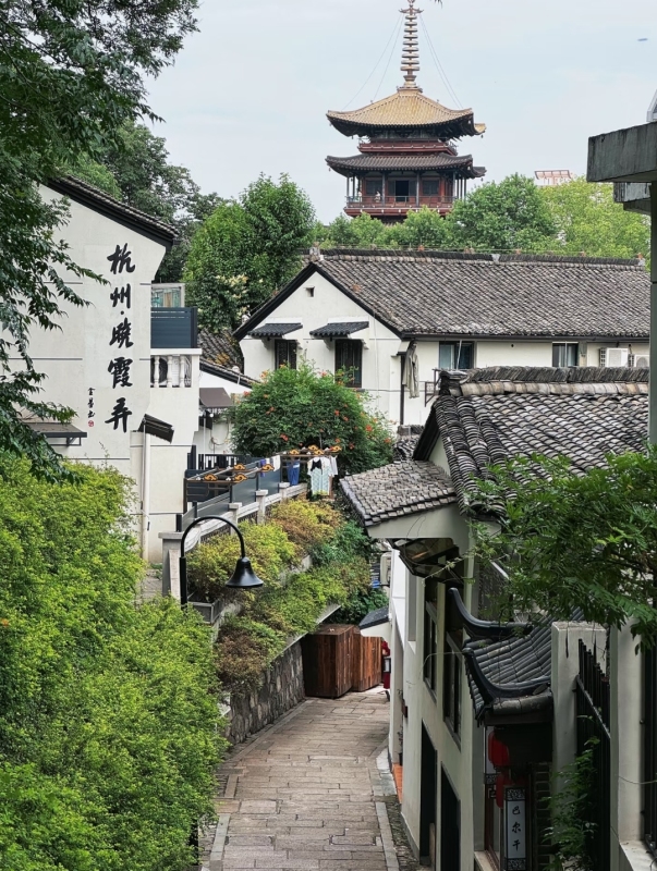 East China - Hangzhou West Lake | Wuzhen | Nanxun | Xitang 4-day 3-night special offer tour