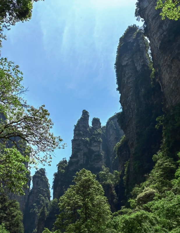 Zhangjiajie 5-Day 4-Night Pure Play Tour