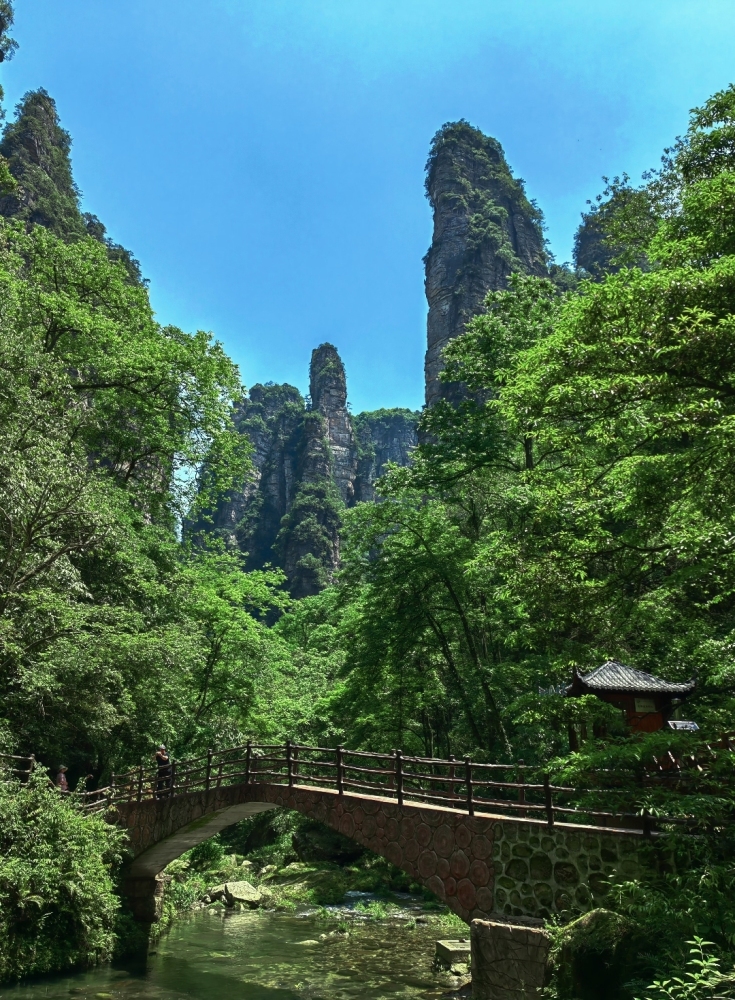 Zhangjiajie 5-Day 4-Night Pure Play Tour