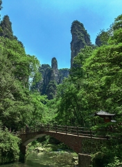 Zhangjiajie 5-Day 4-Night Pure Play Tour