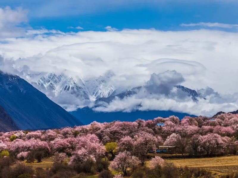 7 Days 6 Nights Tibet Tour: Lhasa, Nyingchi, Yamdrok Lake