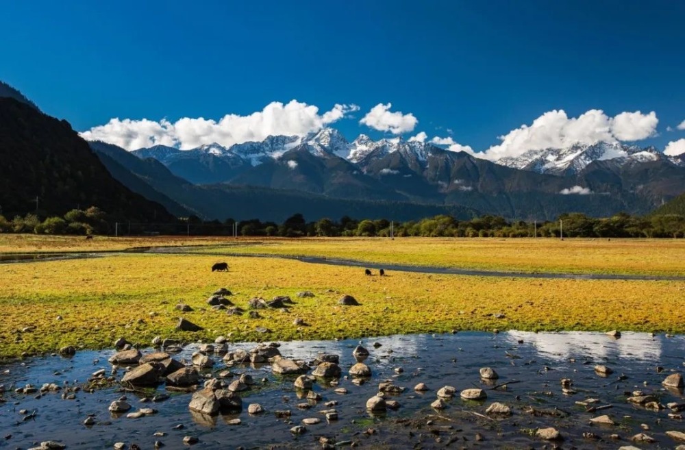 7 Days 6 Nights Tibet Tour: Lhasa, Nyingchi, Yamdrok Lake