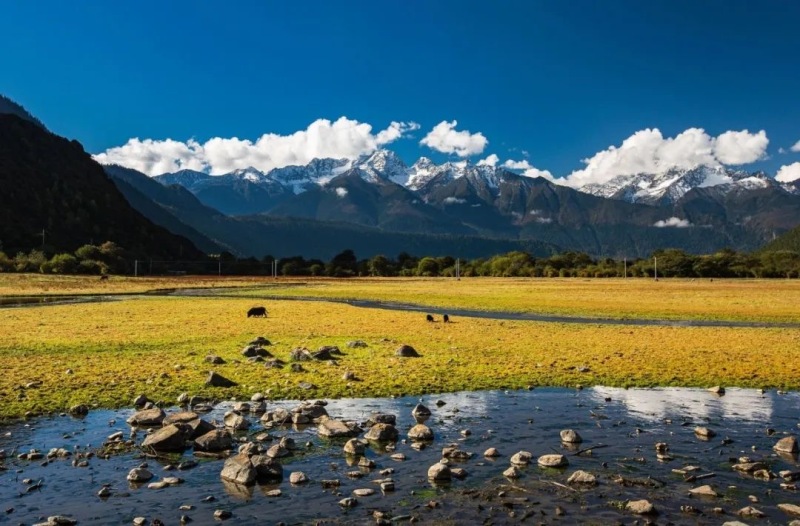 7 Days 6 Nights Tibet Tour: Lhasa, Nyingchi, Yamdrok Lake