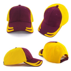 YH231 Tiburon