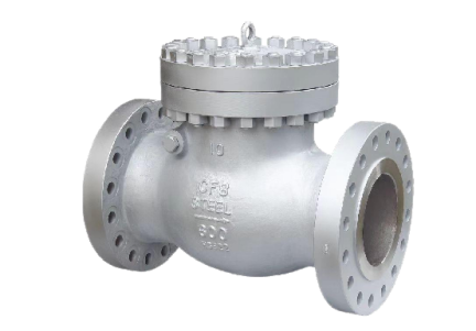 Check Valve