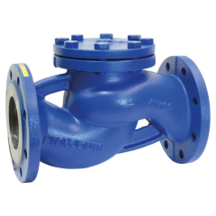 Check Valve