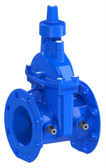 Gate Valve