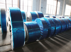 Tira de acero inoxidable laminada en caliente