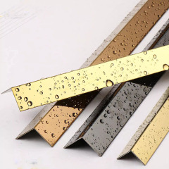 Stainless Steel Decorative Trim