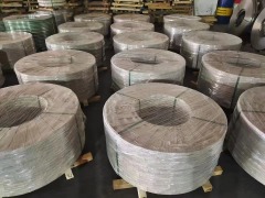 Tira de acero inoxidable laminada en frío