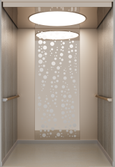 RC074 Elevator - Commercial Elevator Manufacturers