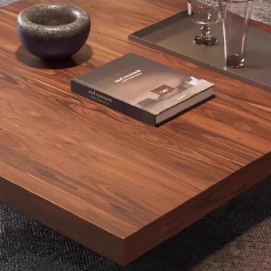 Modern Walnut Veneer Solid Wood Coffee Table TEEJW- Sleek Square Design
