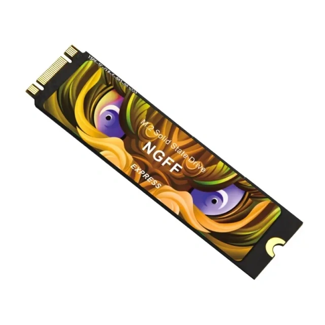 OEM SSD | M.2 NGFF SSD | Computer Hardware | Solid State Disk