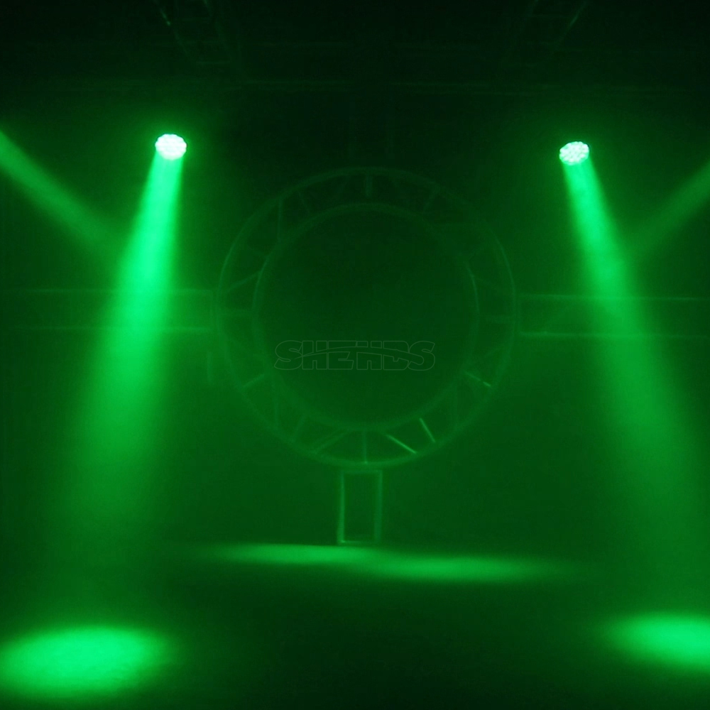 SHEHDS LED Wash&Zoom 19x15W RGBW Moving Head For Church Theater