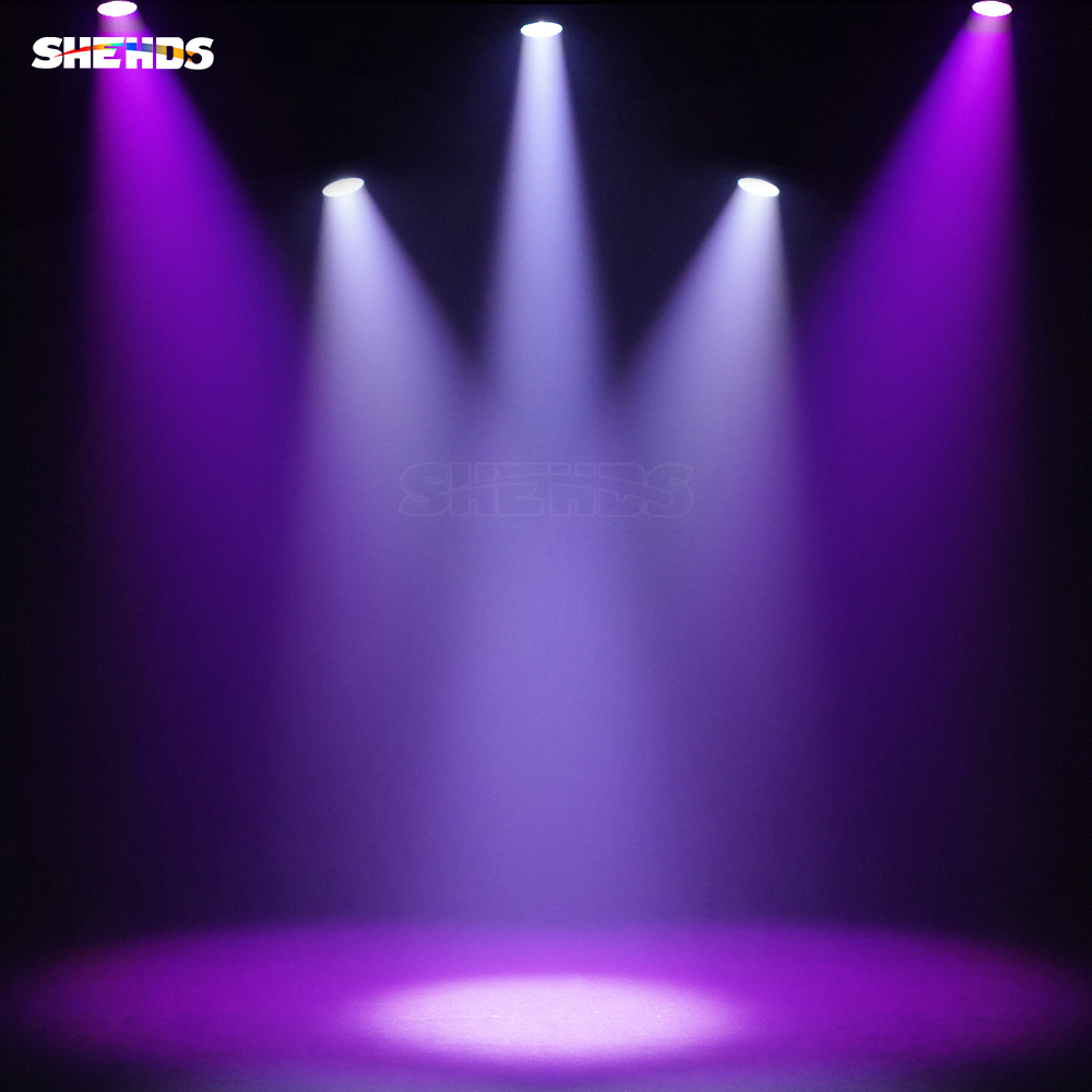 SHEHDS （IP65） LED COB 300W Zoom&Wash RGBW Par Light For Wedding