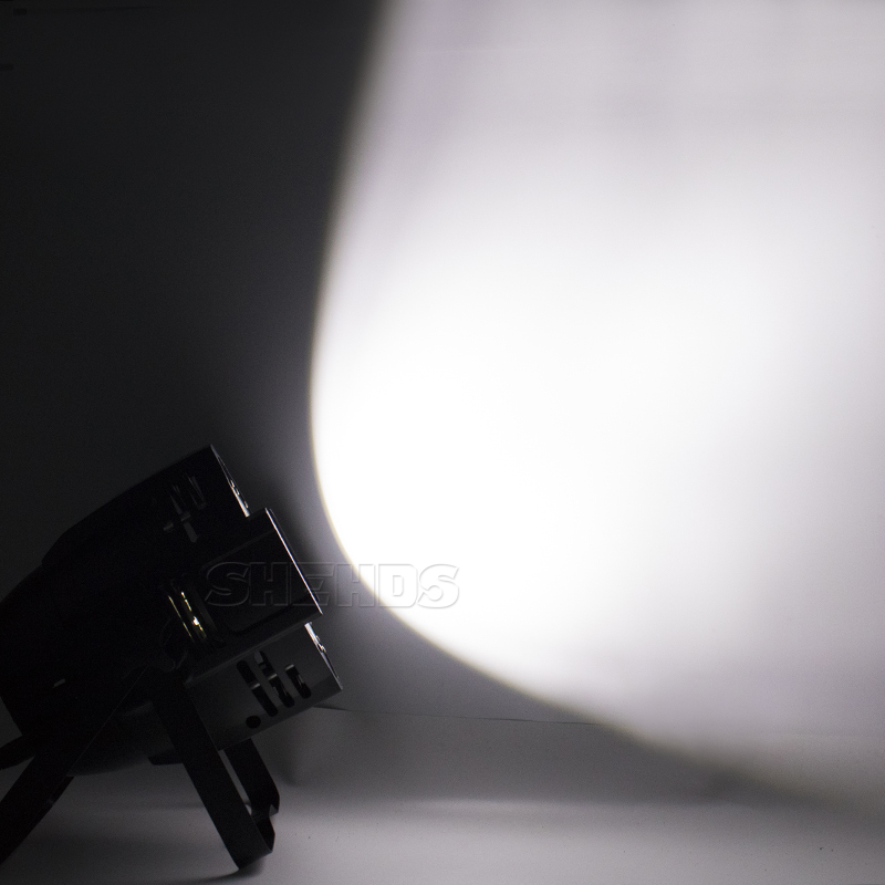 SHEHDS LED  COB 200W Cool White + Warm White Par For Theater