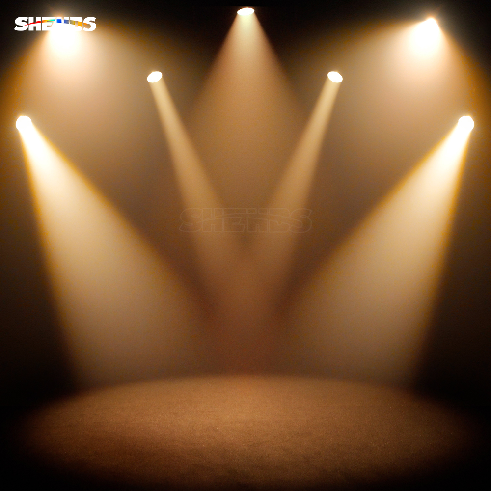 SHEHDS （IP65） LED COB 300W Zoom&Wash RGBW Par Light For Wedding