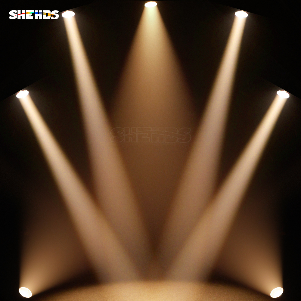 SHEHDS （IP65） LED COB 300W Zoom&Wash RGBW Par Light For Wedding