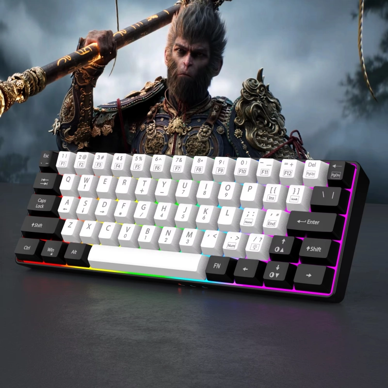 คีย์บอร์ดเกมแบบมีสาย 60%, คีย์บอร์ดขนาดเล็กกะทัดรัดพิเศษแสงพื้นหลัง RGB, คีย์บอร์ด 61 คีย์ขนาดเล็กกันน้ําสําหรับนักเล่นเกมพีซี/Mac