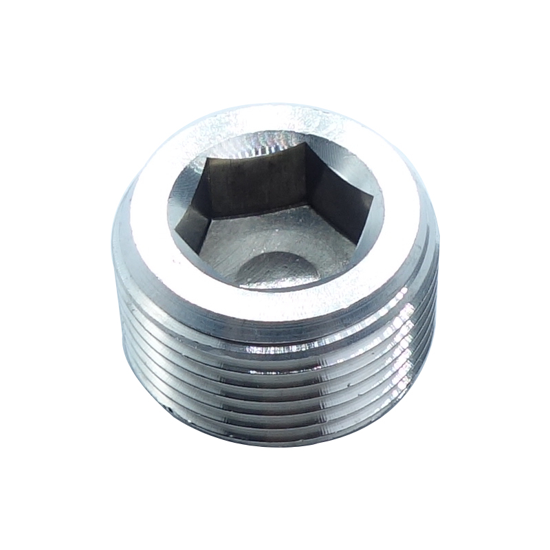 Stainless 304 Countersunk Plug