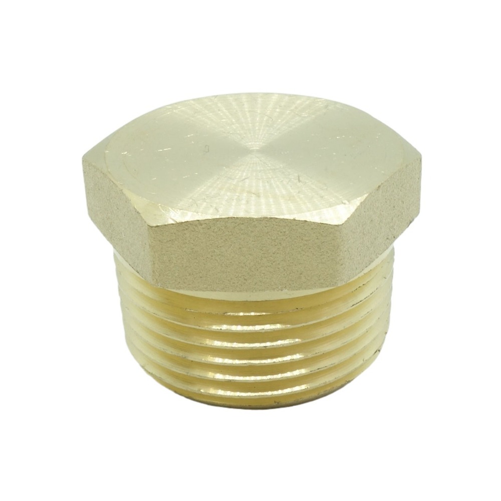 Brass Hex Pipe Plug