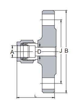 SS316 Double Ferrule Tube Fitting Flange Adapter