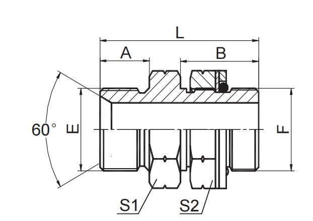 BSP Male Double Use For 60° Cone Seat Or Bonded Seal / BSP Male O-RING