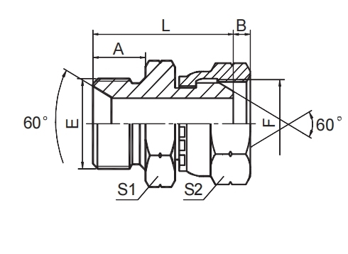 BSP MALE DOUBLE USE FOR 60° CONE SEAT OR  BONDED SEAL / BSP FEMALE 60° CONE