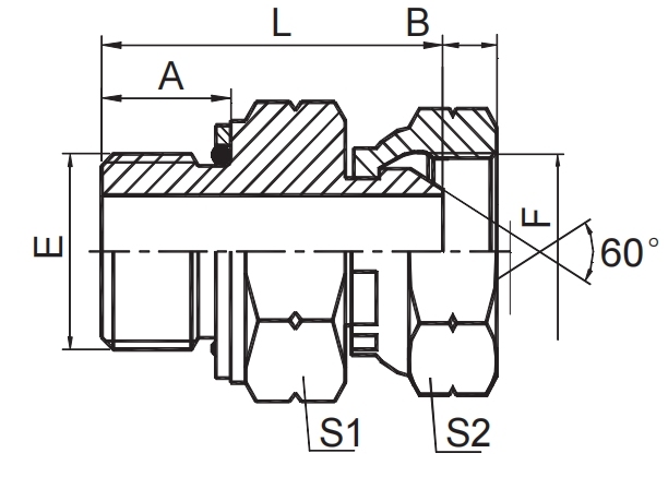 BSP MALE O-RING / BSP FEMALE 60°