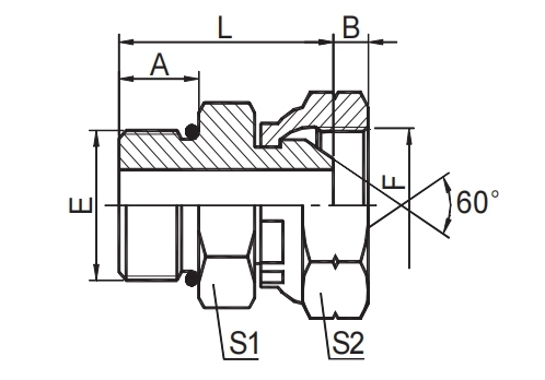 SAE O-RING BOSS / BSP FEMALE 60° CONE