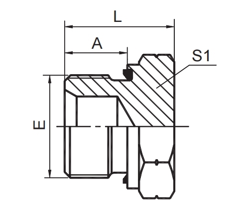 BSP MALE CAPTIVE SEAL PLUG