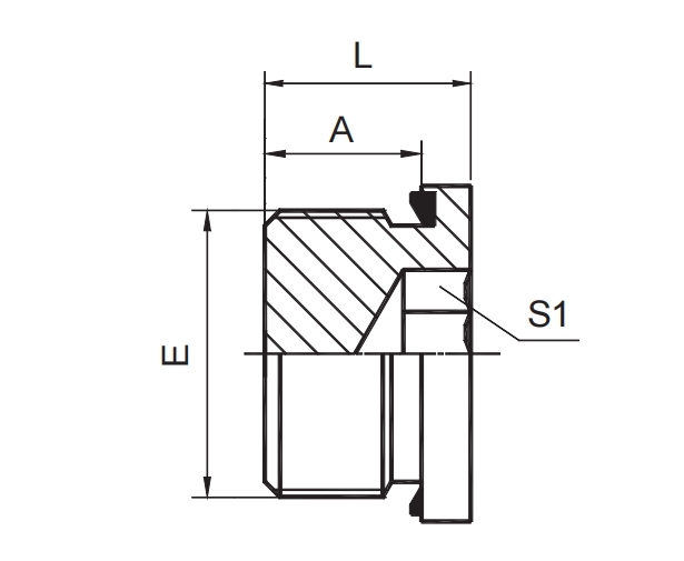 BSP MALE CAPTIVE SEAL HOLLOW HEX PLUG