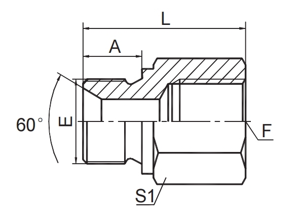 BSP MALE 60° SEAT / BSP FEMALE