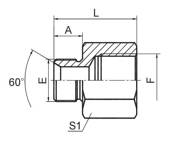 BSP MALE DOUBLE USE FOR 60° CONE SEAT OR BONDED SEAL / BSP FEMALE ISO 1179