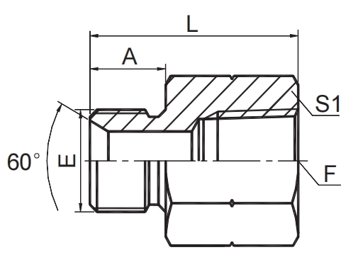 BSP MALE DOUBLE USE FOR 60° CONE SEAT  OR BONDED SEAL / BSPT FEMALE