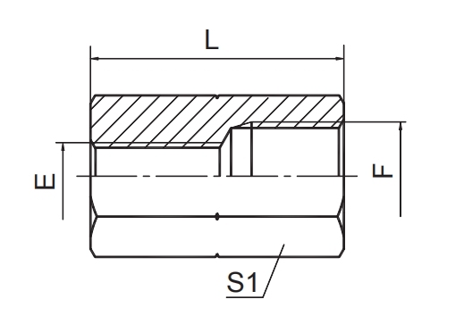 BSP FEMALE ISO 1179