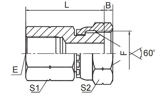 BSP FEMALE / BSP FEMALE 60° CONE