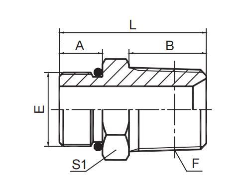 SAE O-RING BOSS / BSPT MALE