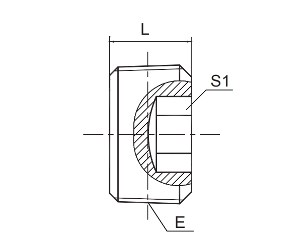 BSPT MALE HOLLOW HEX PLUG