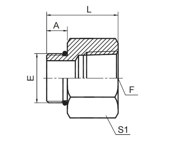 SAE O-RING BOSS / BSPT FEMALE
