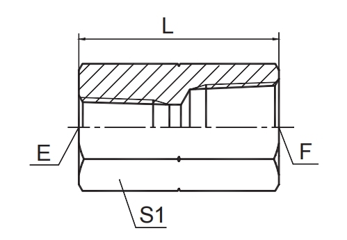 BSPT FEMALE