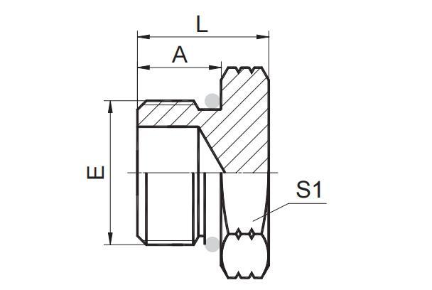 SAE O-RING BOSS PLUG