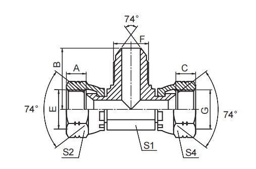 JIC FEMALE / JIC MALE / JIC FEMALE