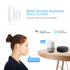 Tuya Smart WiFi 2-in-1 Door & Window Sensor with Light Detection & Voice Control