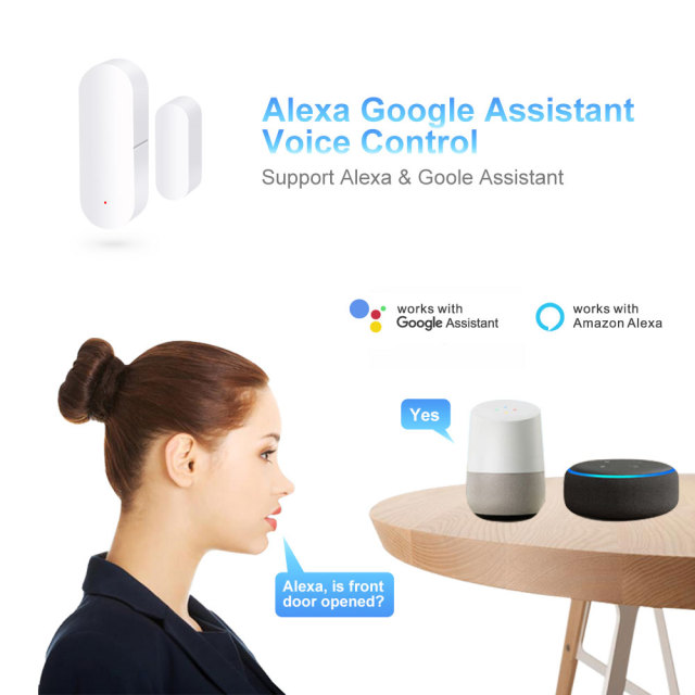 Tuya Smart WiFi 2-in-1 Door & Window Sensor with Light Detection & Voice Control