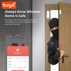 Tuya Smart WiFi 2-in-1 Door & Window Sensor with Light Detection & Voice Control