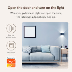 Tuya Smart WiFi Door/Window Sensor with Loud Alarm & Instant Alerts
